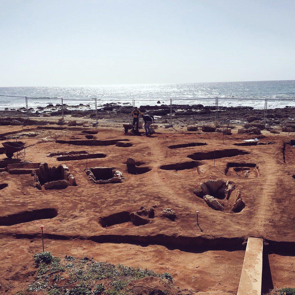 SistemaMusealeUgento tweet media