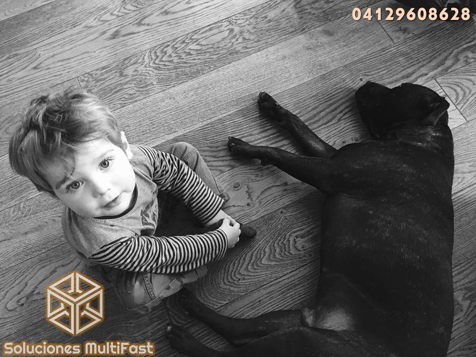 solmultifast's tweet image. Un hogar sin plagas es un hogar saludable para todos los miembros de la familia #solucionesmultifast #controldeplagas #fumigacion