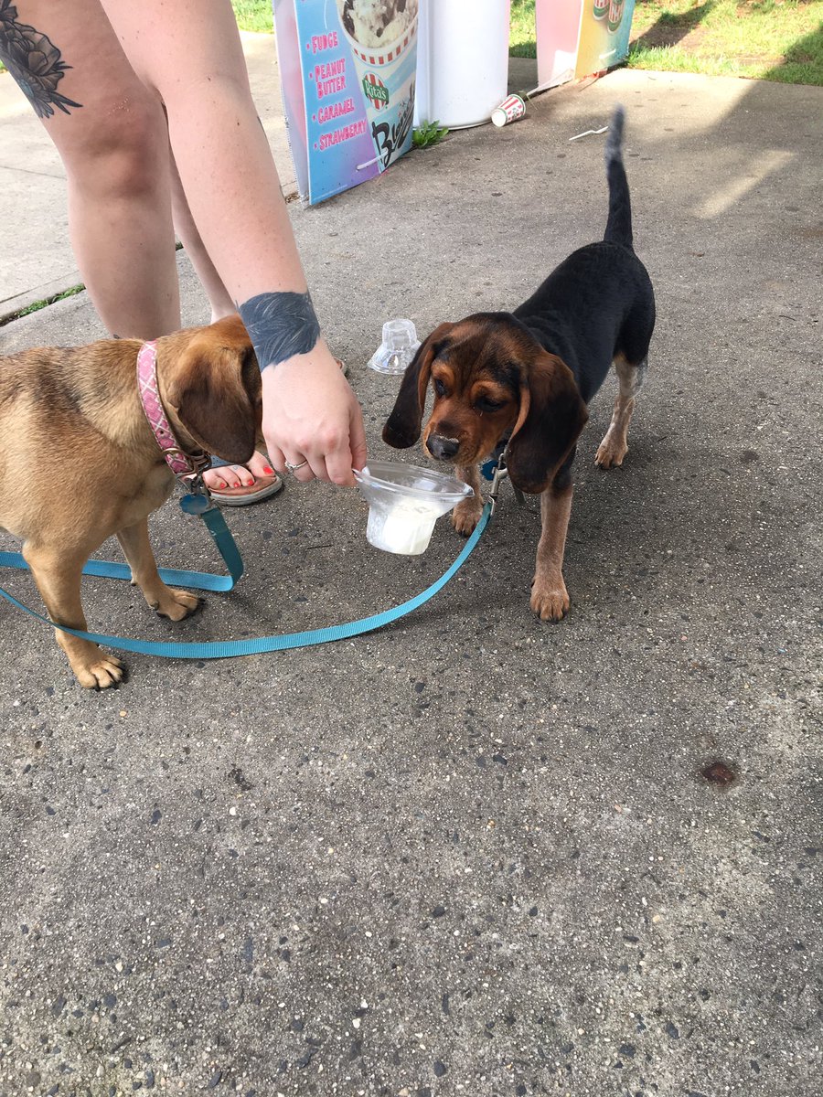 Rita's best customers! 🐶🍦