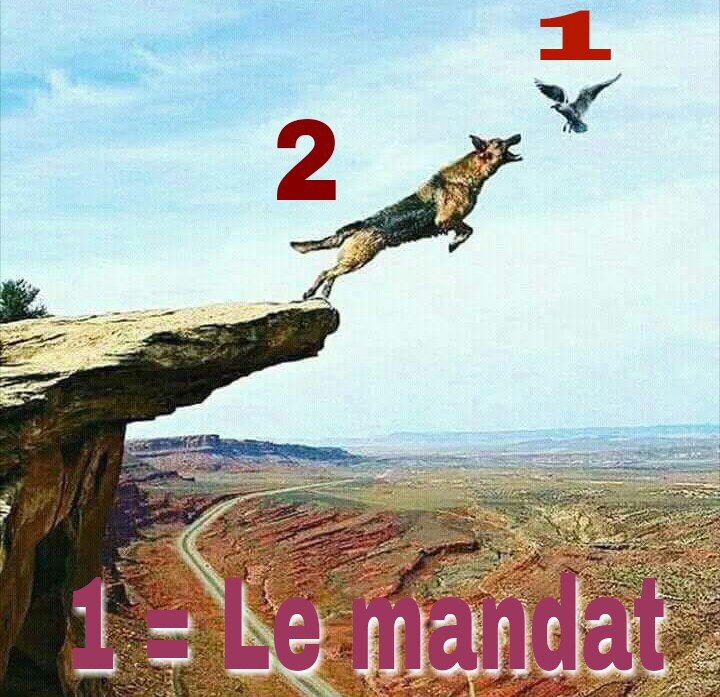 kanuraGB's tweet photo. @Burundi_Facts Cet association belgo-burundais a rendu l'âme en 2016.
God bless the dead
#RIPCnared https://t.co/GEntroLQS1