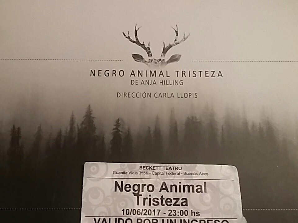 Negro Animal T (@NegroAnimalArg) / Twitter Negro Animal T (@NegroAnimalArg) / Twitter