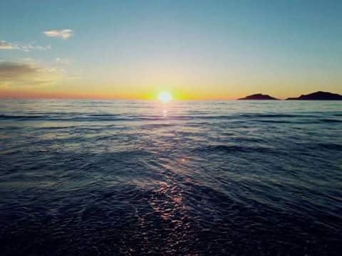 KoolDna tweet picture