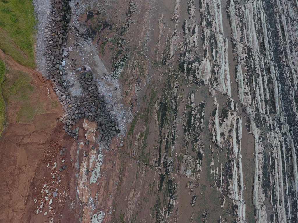 The Rock Library tweet media