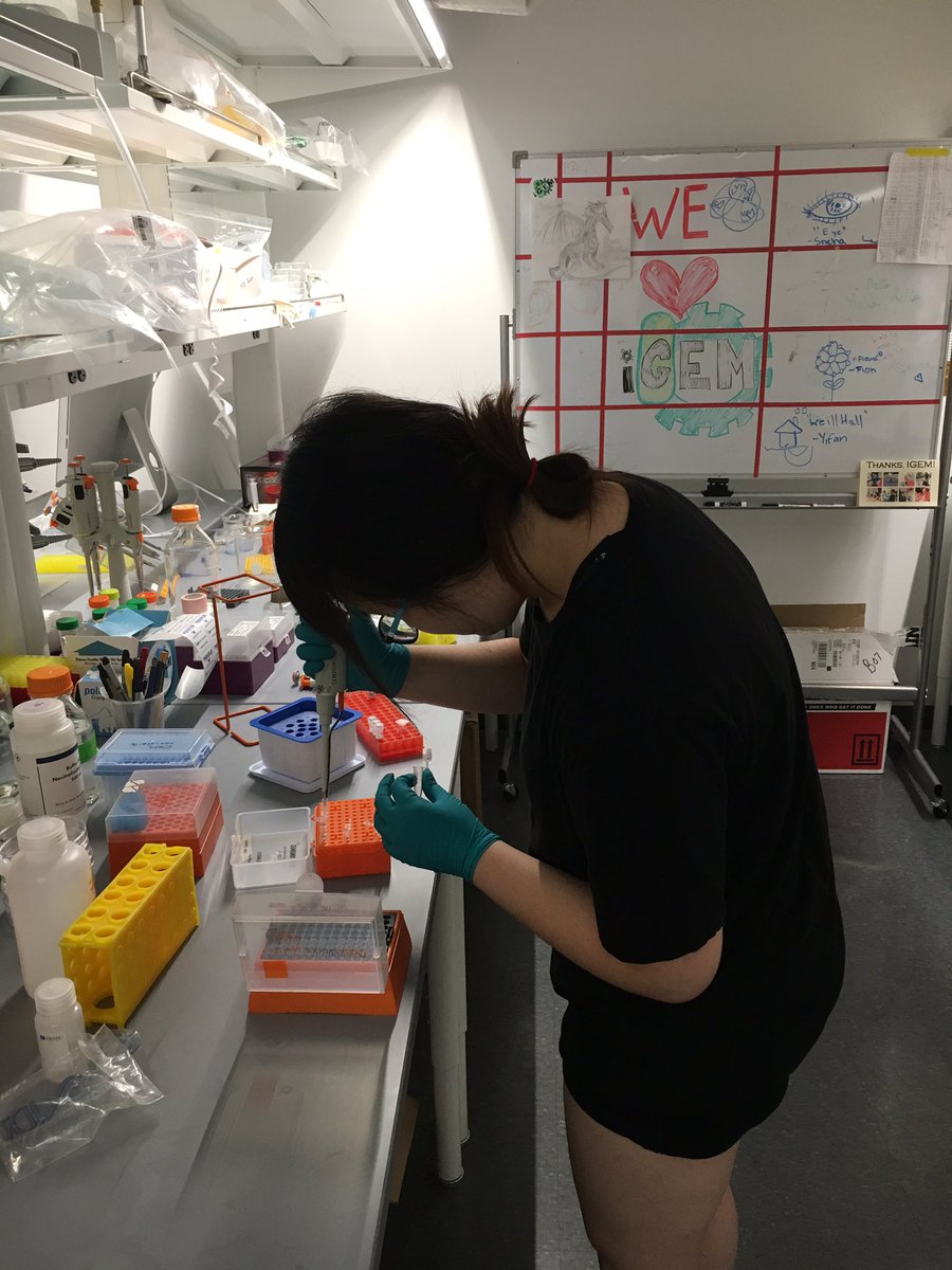 Cornell iGEM Project Team (@cugem) on Twitter photo Starting work on our 2017 project! Starting work on our 2017 project!