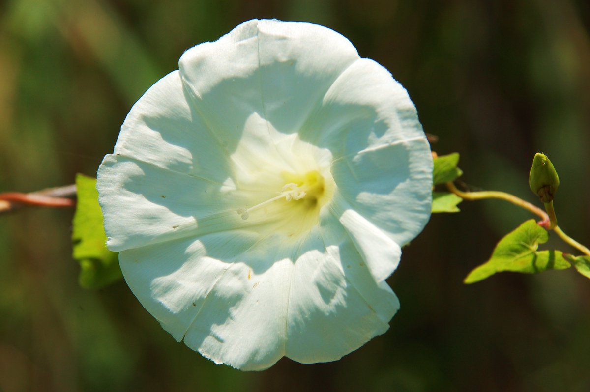 Pas Martinez (Pas) 🇪🇦🇮🇱 tweet media