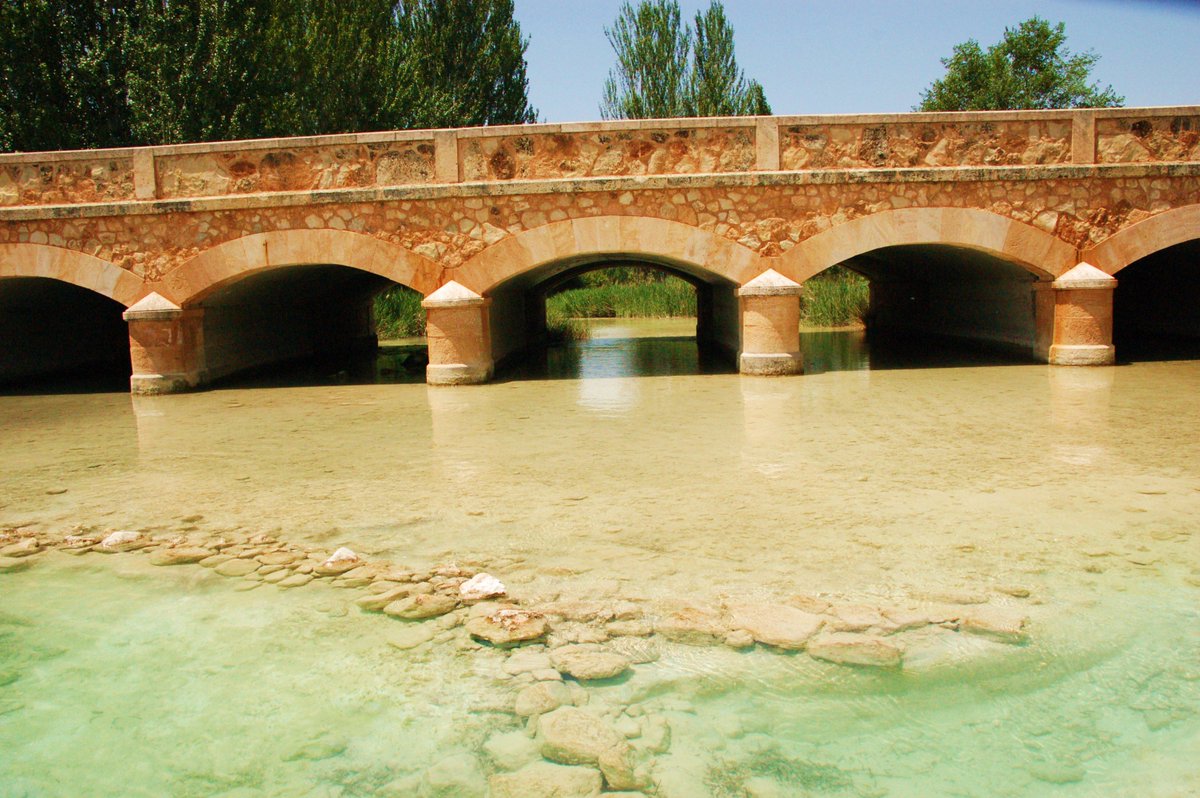 Pas Martinez (Pas) 🇪🇦🇮🇱 tweet media