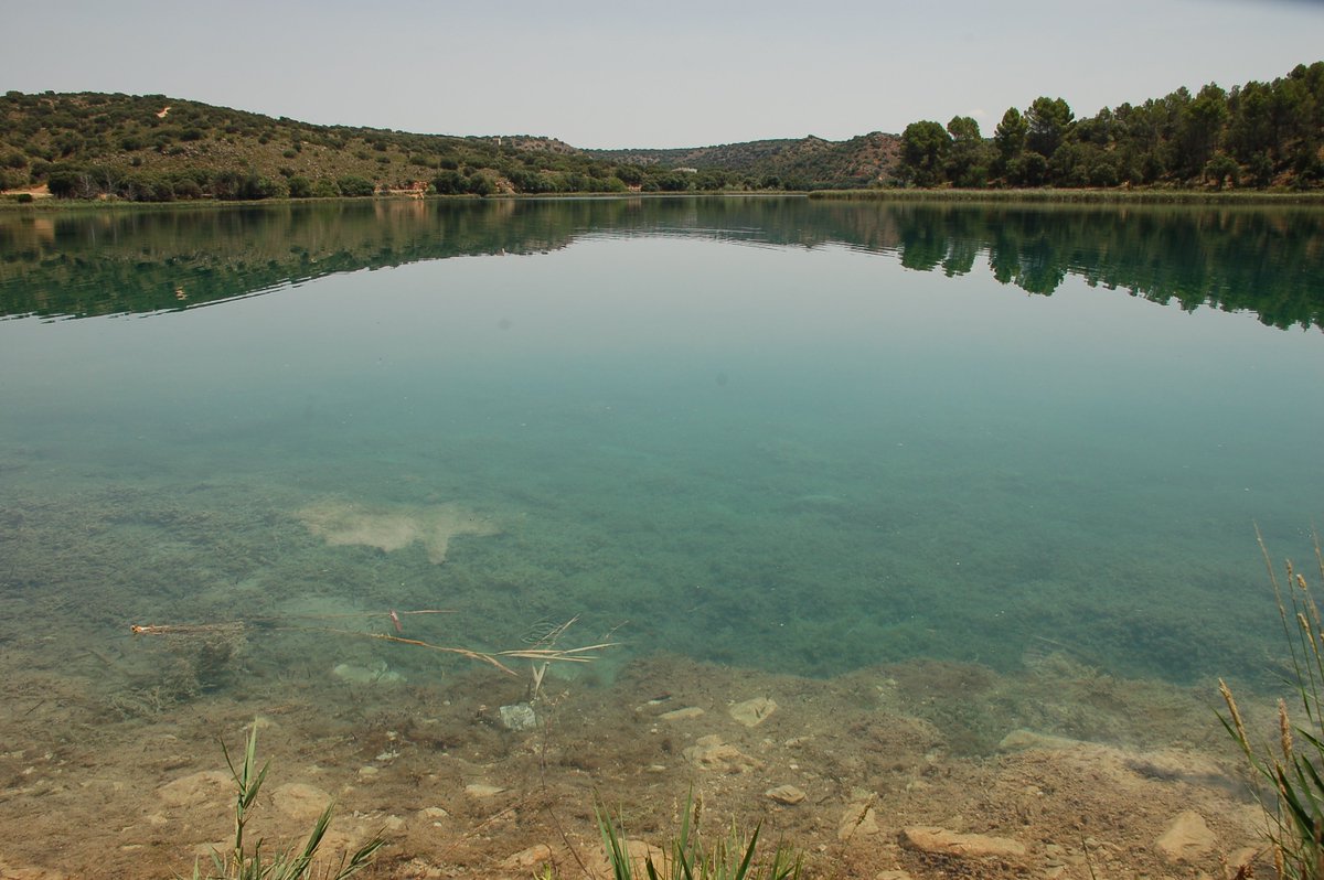 Pas Martinez (Pas) 🇪🇦🇮🇱 tweet media