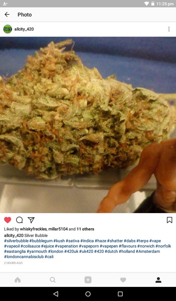 Allcity420's tweet photo. Silver Bubble #Allcity420 #instagram #twitter #wickr #norwich #norfolk 420 #ssh #silverbubble #bubblegum #london #thc #fire #weed #amsterdam https://t.co/cIbvcnfuZc