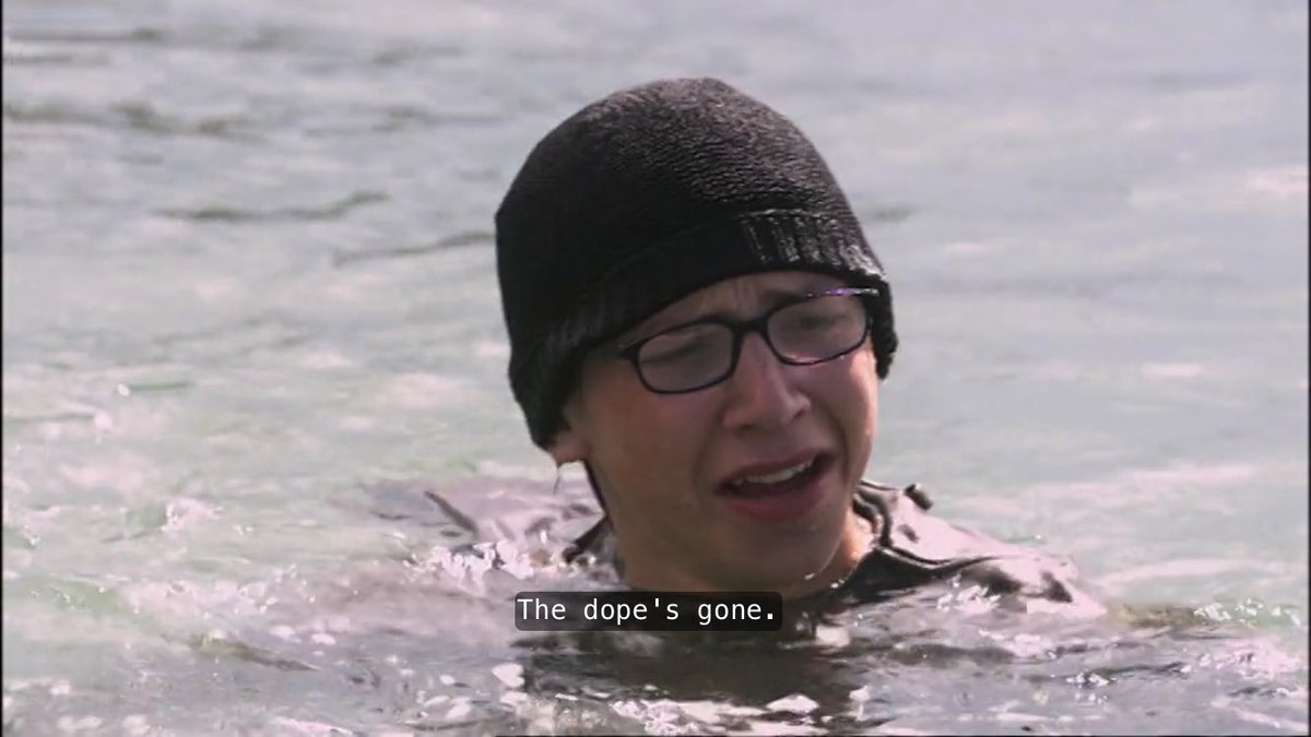 phanielhowells's tweet image. stupid fluffin bitch