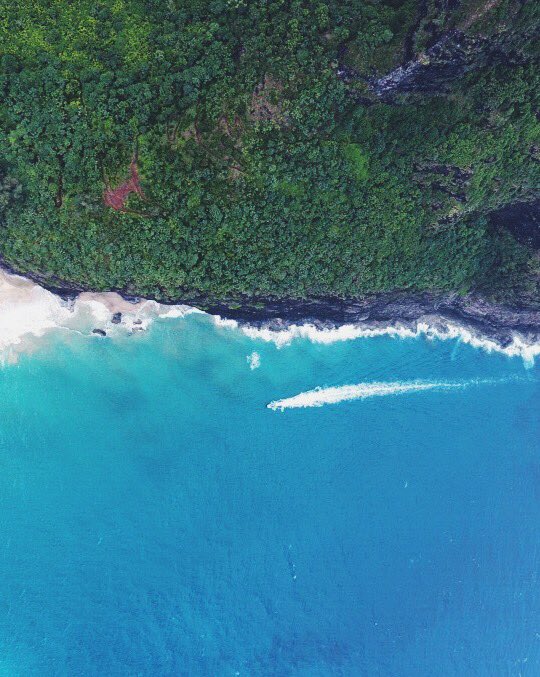mvxzwell's tweet photo. Wish I had someone to take on hikes.. and go surfing and driving.. next time 💞 https://t.co/bzbH7Q0gG6