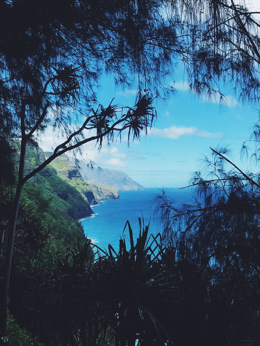 mvxzwell's tweet photo. Wish I had someone to take on hikes.. and go surfing and driving.. next time 💞 https://t.co/bzbH7Q0gG6