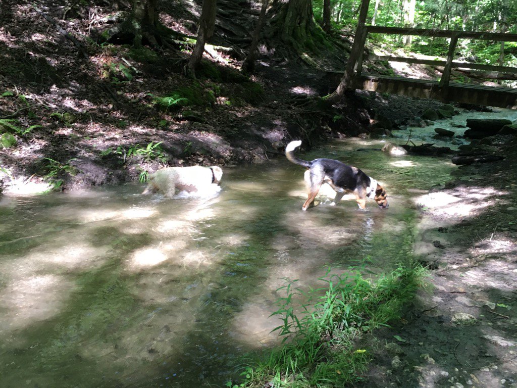 Rob Adams tweet media