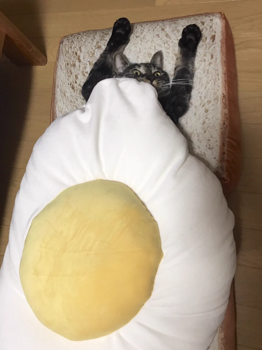 これは絶品！？目玉焼きクッションを使ってサンドイッチづくり！