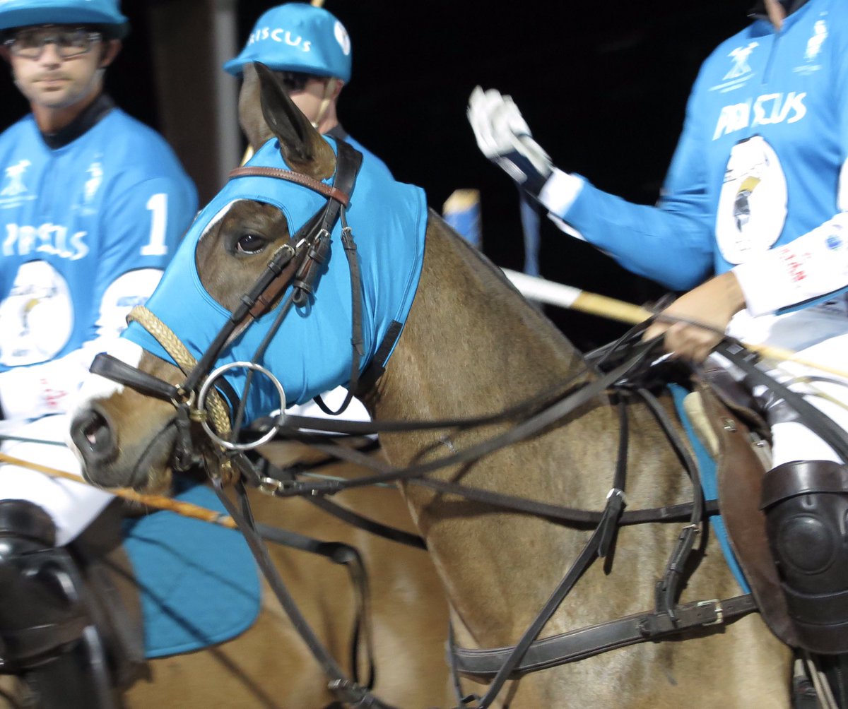 PoloAssociation's tweet photo. Teams are tied 3-3 at the half. Are you watching @GladiatorPoloUS on https://t.co/niS9bkjxW5? #gladiatorpolo https://t.co/SIafSogdF8