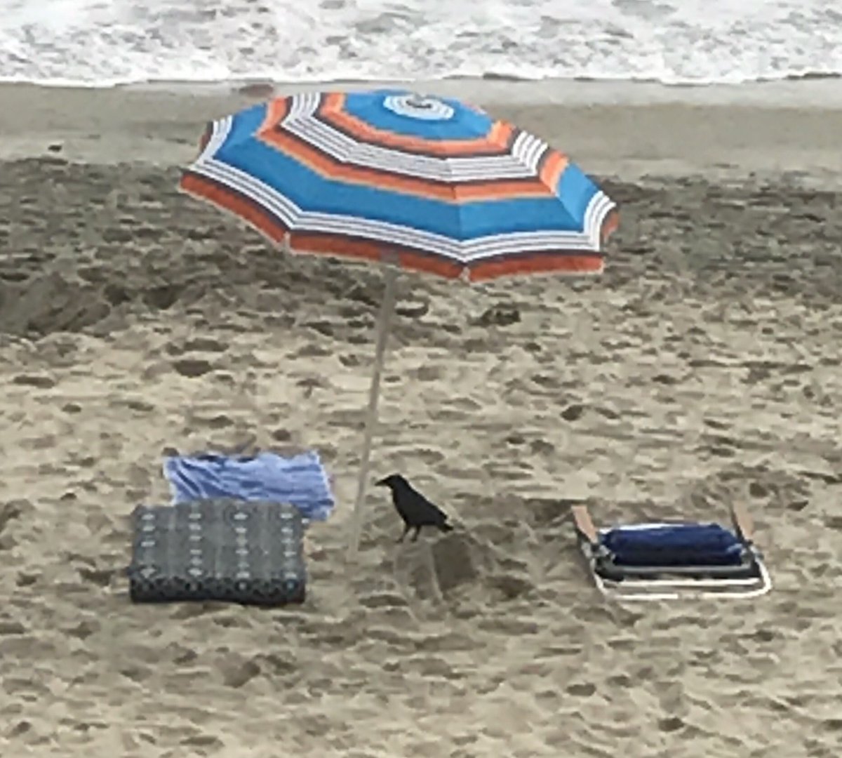 #GameofThrones #WinterIsComing #sendaraven