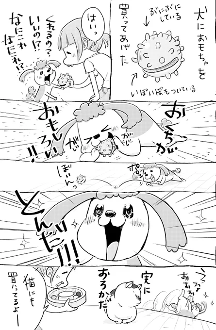 犬と猫どっちも飼ってると、おもちゃひとつでこんなにたのしませてくれる。 