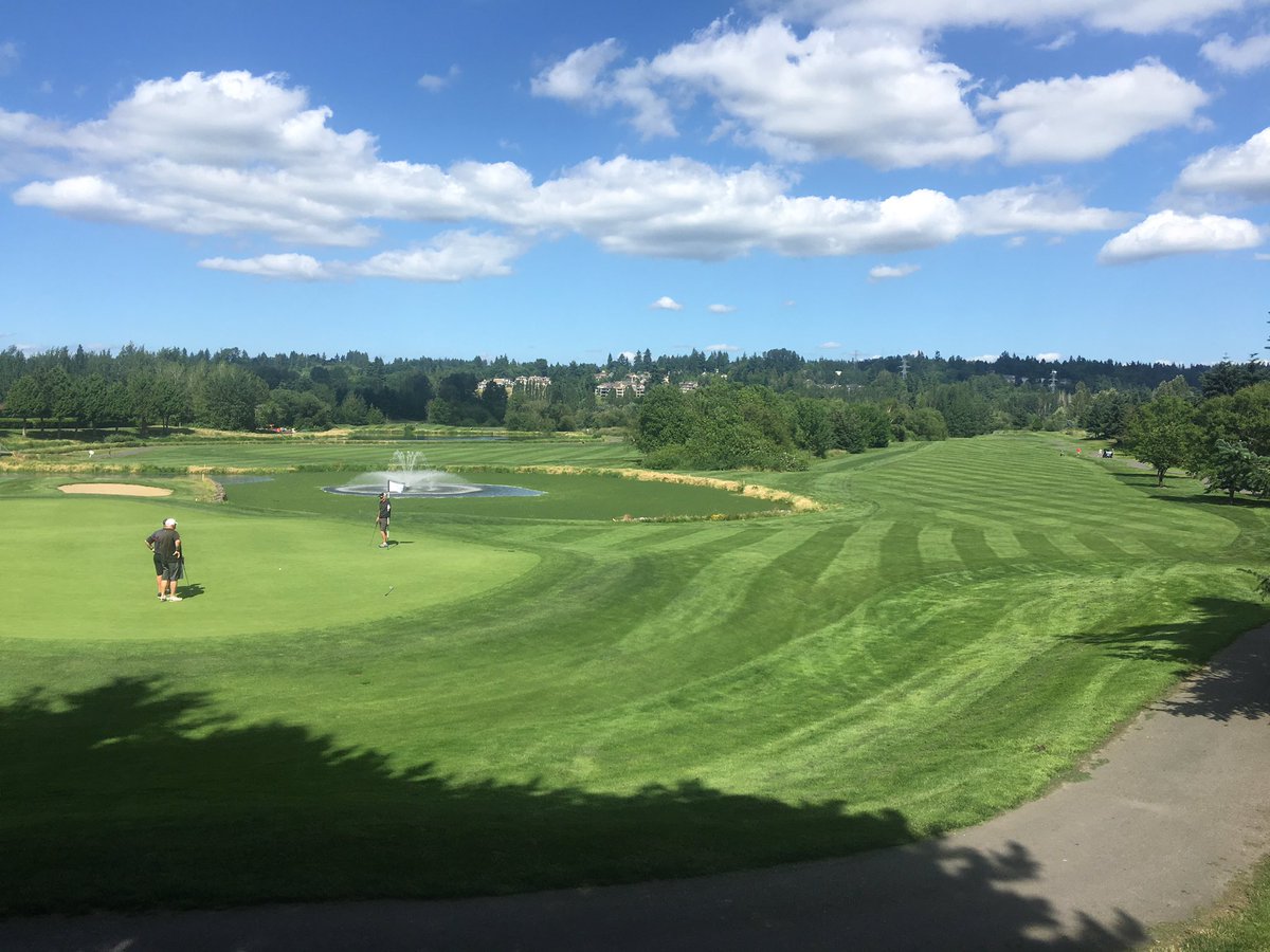 RS_turf's tweet photo. It's awesome to leave for several days of warm temps, come back to this. Thx @Jrothturf and @reelgreensguy. If I could only get rid of algae https://t.co/w5xnbcyxyS