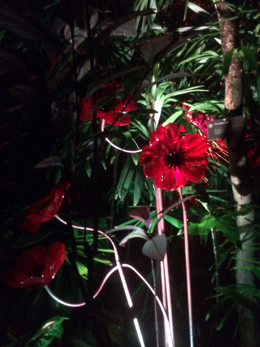 kay_lind's tweet photo. What a wonderful exhibit. So many beautiful colors. What an experience! https://t.co/6I7P98ITiP