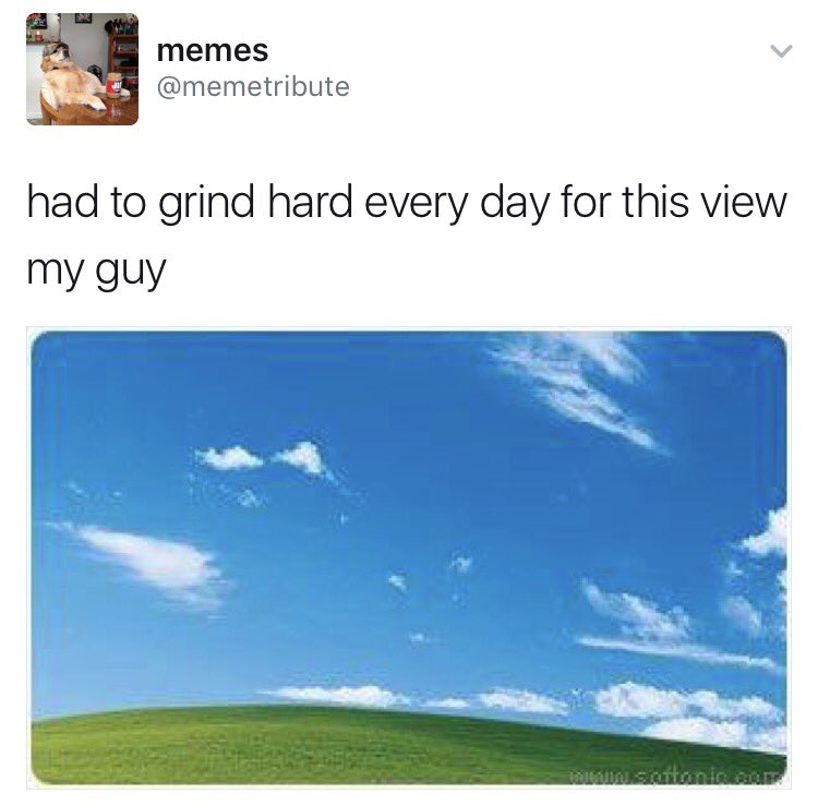 sarahbeck24's tweet photo. MY NEW FAVORITE ACCOUNT IS @memetribute https://t.co/1zylmblPYU