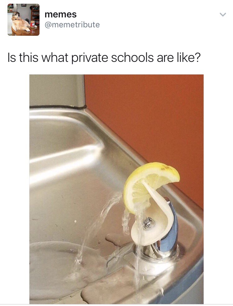sarahbeck24's tweet photo. MY NEW FAVORITE ACCOUNT IS @memetribute https://t.co/vygingWFuL