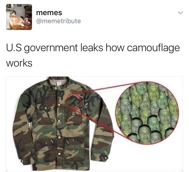 sarahbeck24's tweet photo. MY NEW FAVORITE ACCOUNT IS @memetribute https://t.co/9Gmh8qVCzT
