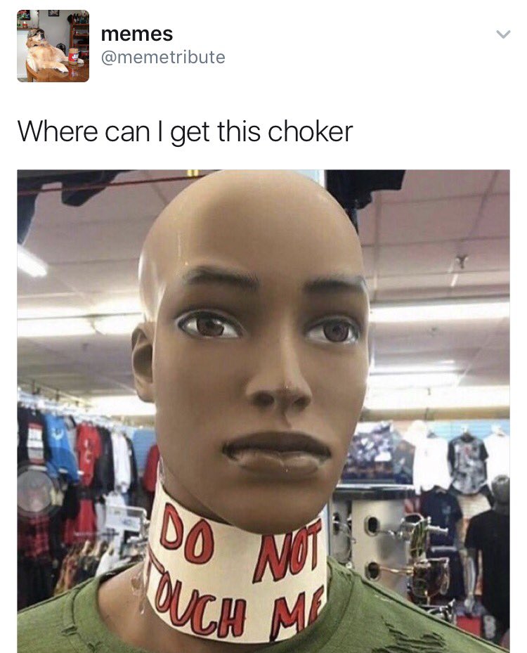 sarahbeck24's tweet photo. MY NEW FAVORITE ACCOUNT IS @memetribute https://t.co/9Gmh8qVCzT
