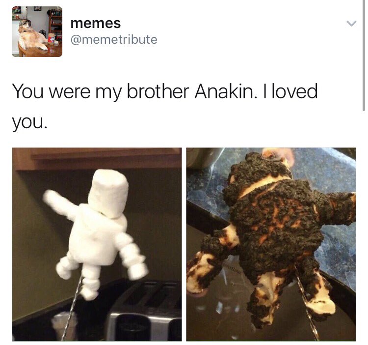 sarahbeck24's tweet photo. MY NEW FAVORITE ACCOUNT IS @memetribute https://t.co/5d5FrfWDNs