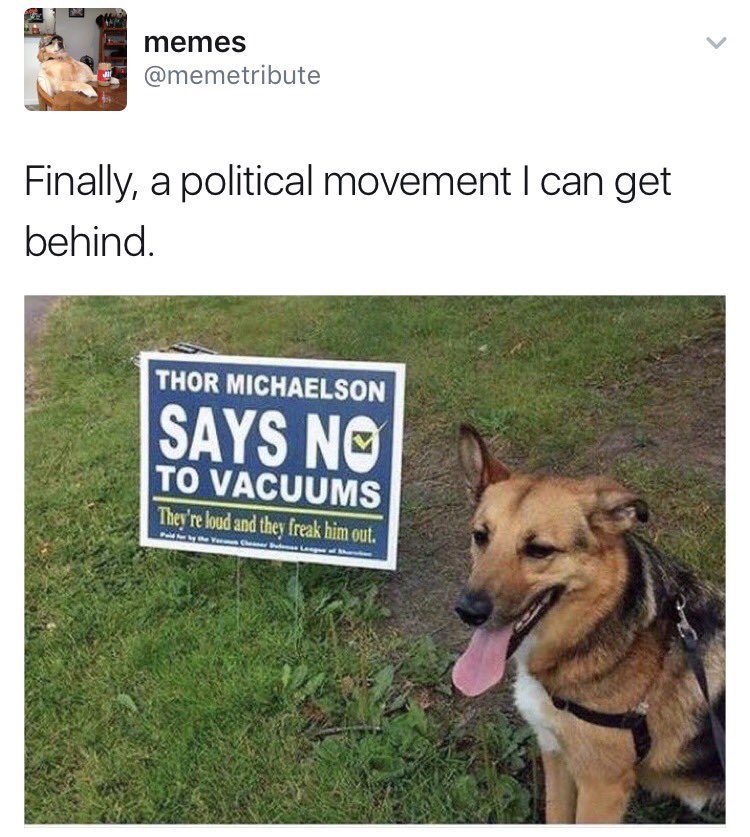sarahbeck24's tweet photo. MY NEW FAVORITE ACCOUNT IS @memetribute https://t.co/5d5FrfWDNs