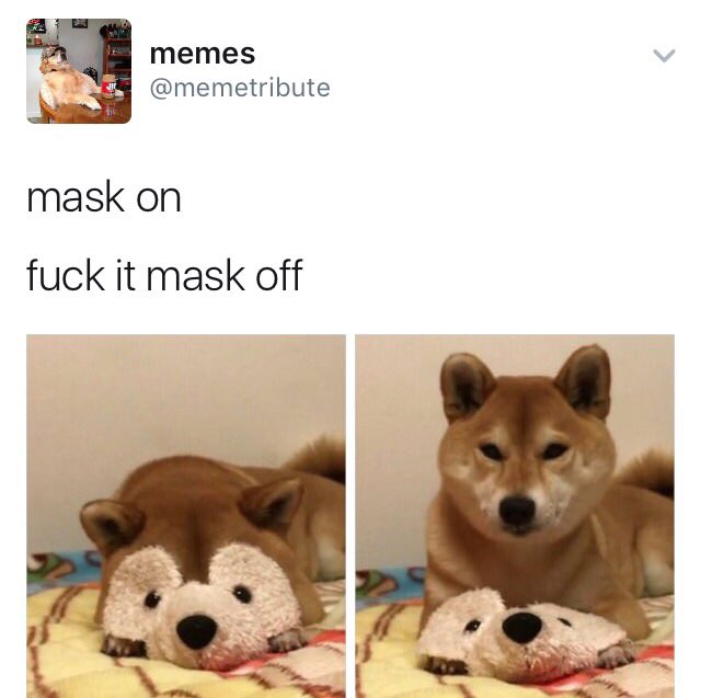 sarahbeck24's tweet photo. MY NEW FAVORITE ACCOUNT IS @memetribute https://t.co/gOUnzcYBNt