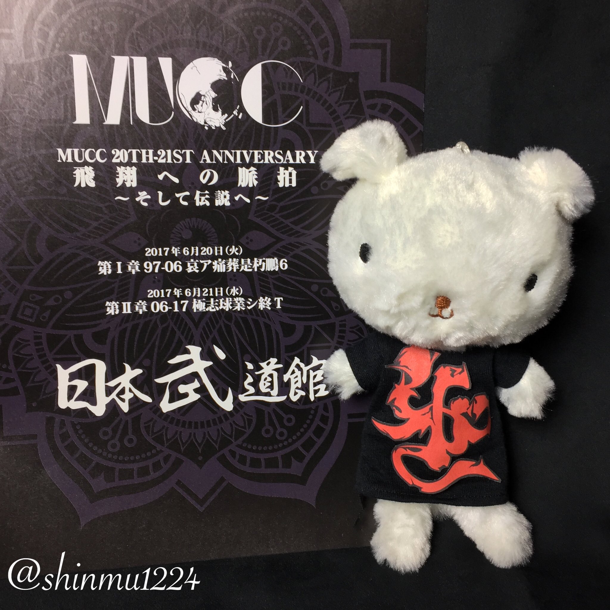レア】 MUCC ムック 武道館 Tシャツ 梵字 レア MUCC 武道館 Tシャツ