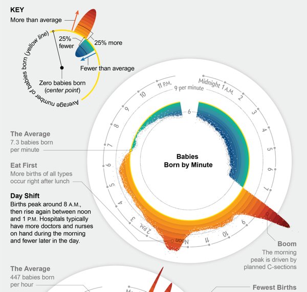 Cynthiapoet's tweet image. When babies are born bit.ly/2sH5N1o #infographic #birth