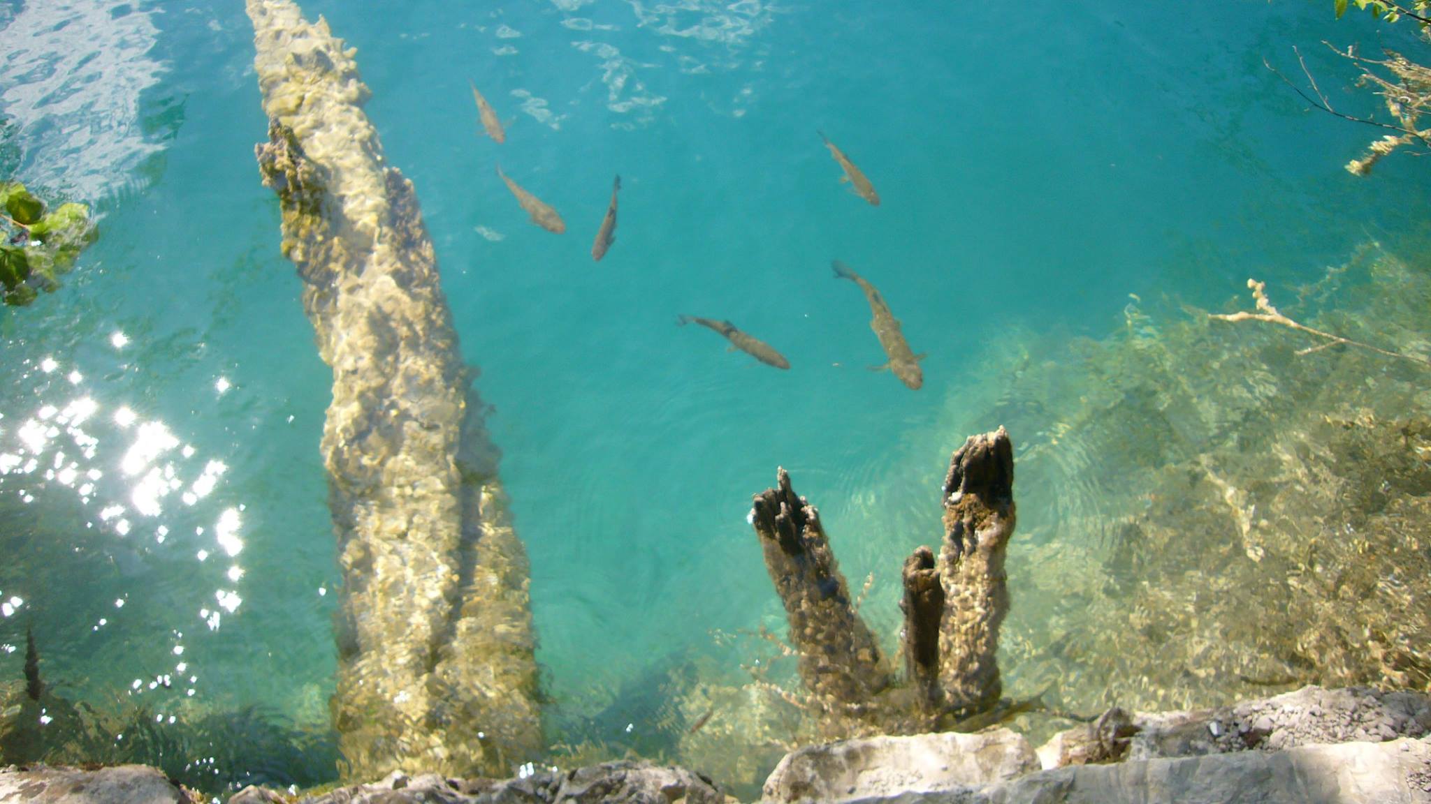 تويتر キヤノンマーケティングジャパン على تويتر これから放映 今夜の世界遺産は クロアチアの山間に広がる プリトヴィッツェ湖群国立公園 石灰岩大地が生んだ 湖の階段 は森を流れる川とともに その姿を変えていく 詳細 T Co 9qrl0sschh Tbs