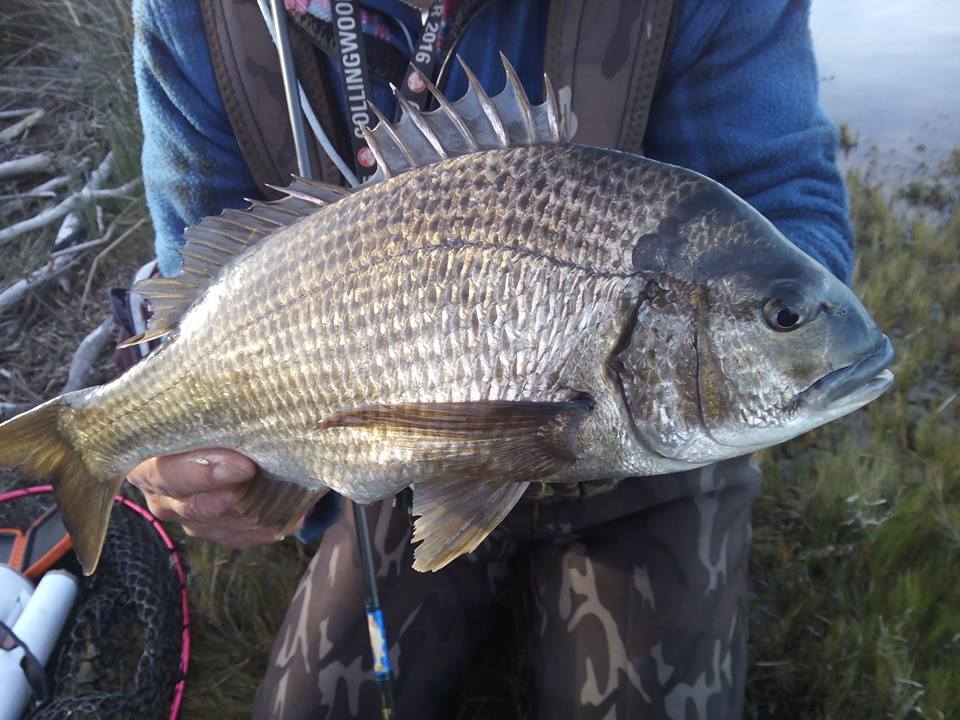 Messiah Fishing tweet media