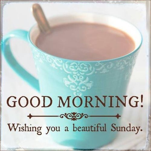 Happy happy Sunday. Hope you have a relaxed Sunday. 

#Sunday #relax #body20 #ems #goodmorning #fit #fitness #strong #active #fun #weekend