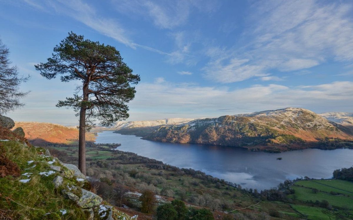 Telegraph News on Twitter "Seven trees photographed over two years