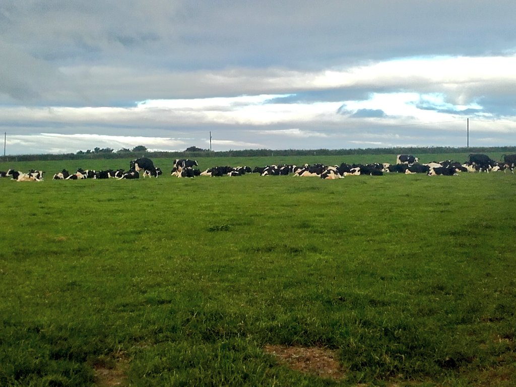 Not much of a stir on them this morning.