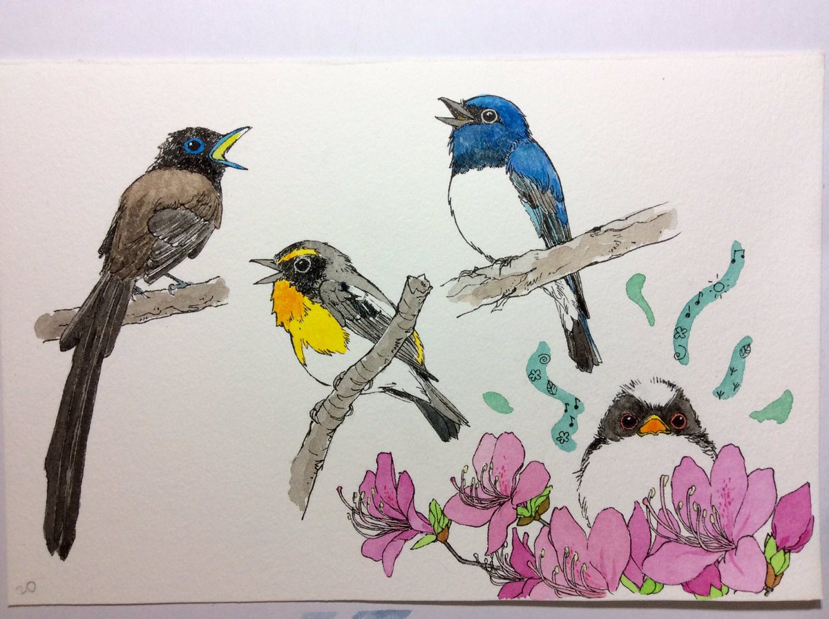 水彩画　鳥　「密林の宝石」　〜溢れる生命力〜 水彩画 鳥 「密林の宝石」 〜溢れる生命力〜 水彩画 鳥 「密林の宝石