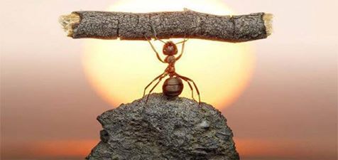 "Zacznij od robienia tego, co konieczne; potem zrób to, co możliwe; nagle odkryjesz, że dokonałeś niemożliwego."
św. Franciszek z Asyżu