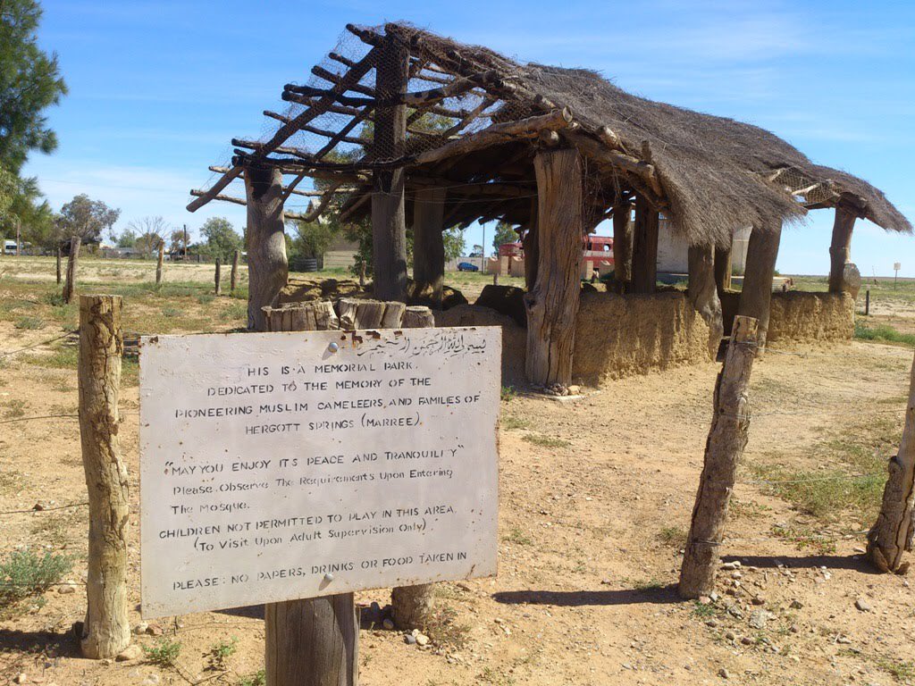 نقره لعرض الصورة في صفحة مستقلة