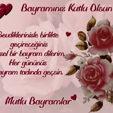 Selman Bagci (@faebf8db4f8e443) on Twitter photo 