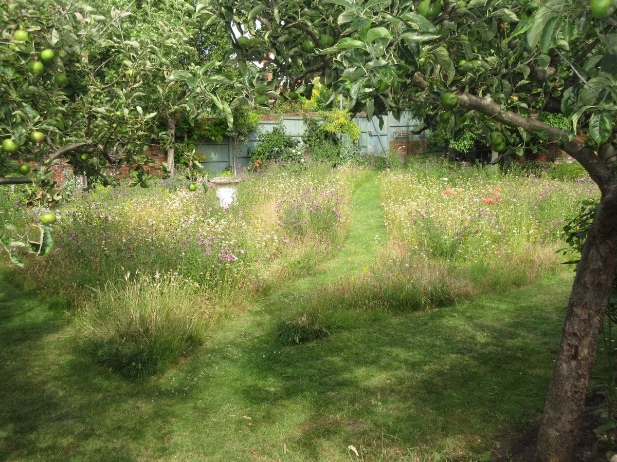 FoxandHardy's tweet photo. Come visit... Faversham Open Gardens. No.28 #meadow #wildgarden #Faversham #garden https://t.co/D3HBJ1uyrc