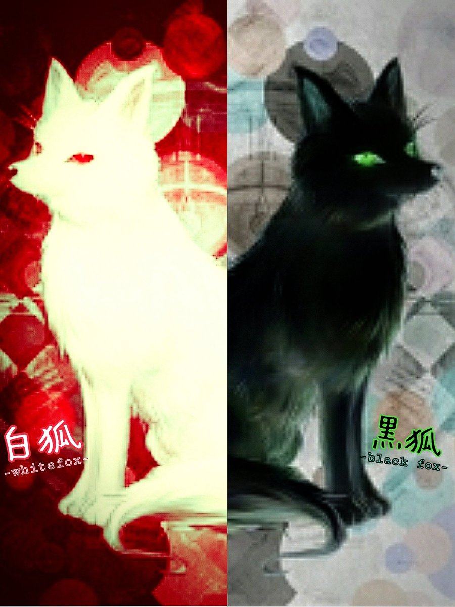 白狐隊 黒狐隊 Dartsteam Whitefox Darts Twitter 白狐隊 黒狐隊 Dartsteam Whitefox Darts Twitter