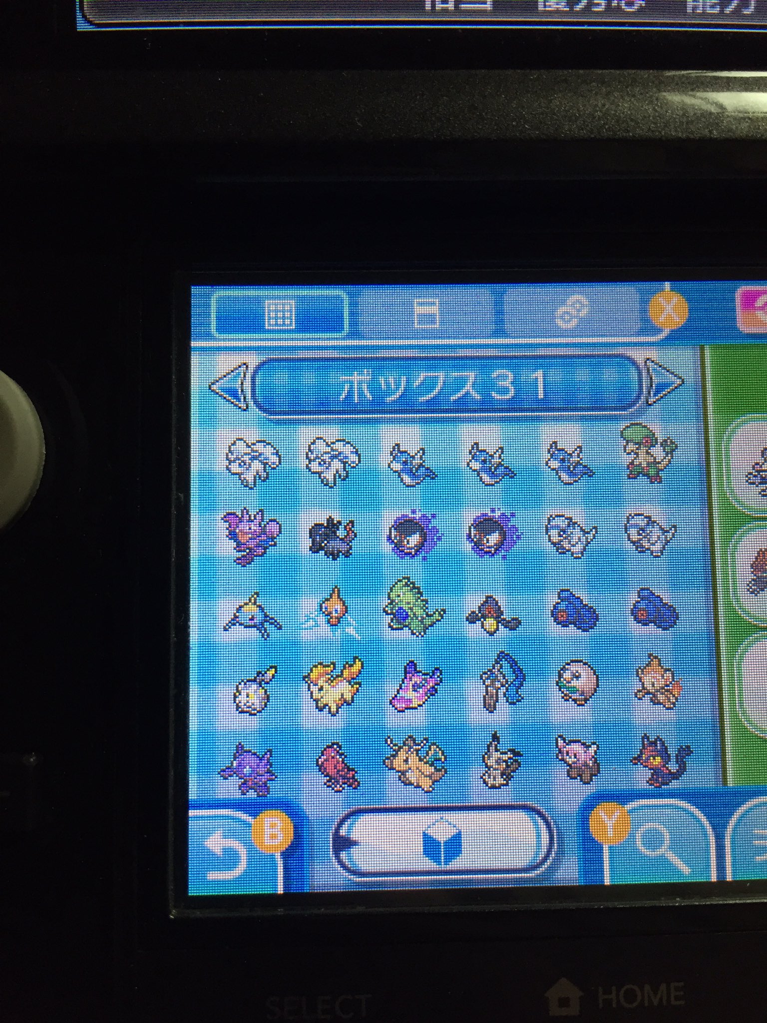 ソウシ 37vekfpu43gzjwm Twitter