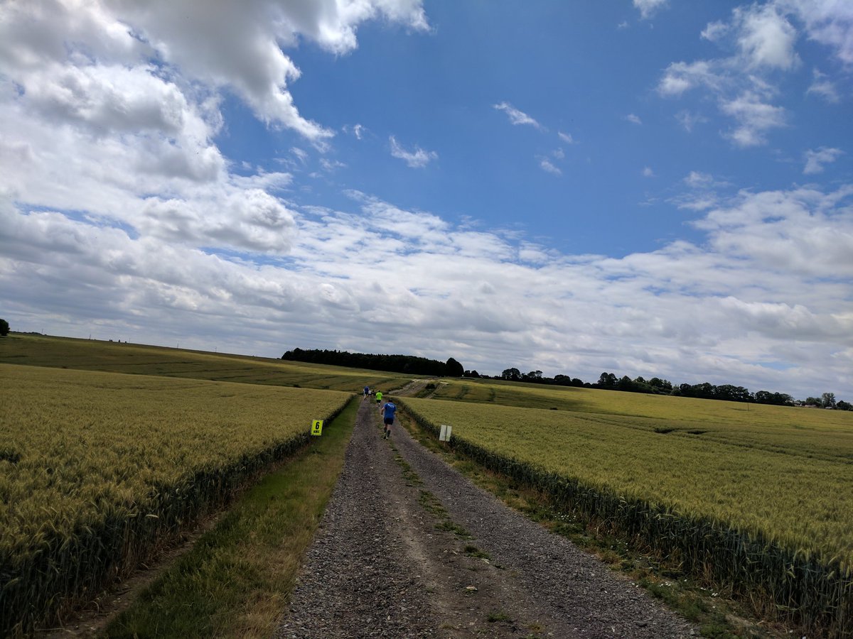 JamesAickenGrn's tweet photo. Wonky mid-run picture during the #Quendon and #Rickling #10k. Of course I only ran around the wheat fields! https://t.co/hmkPpu8wGX