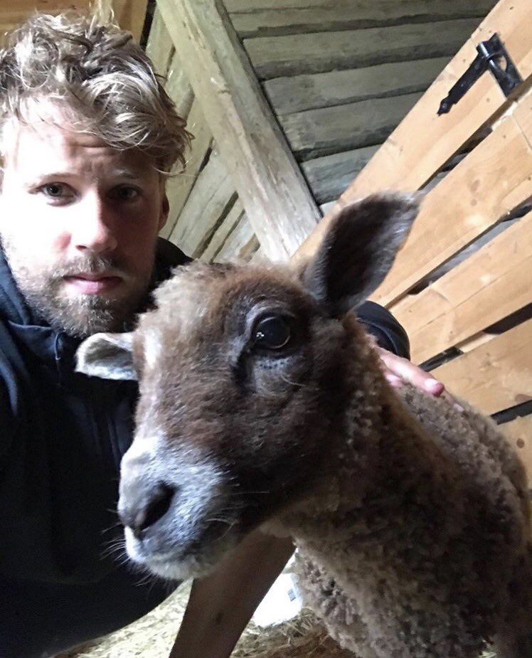 Robin Figren tweet media