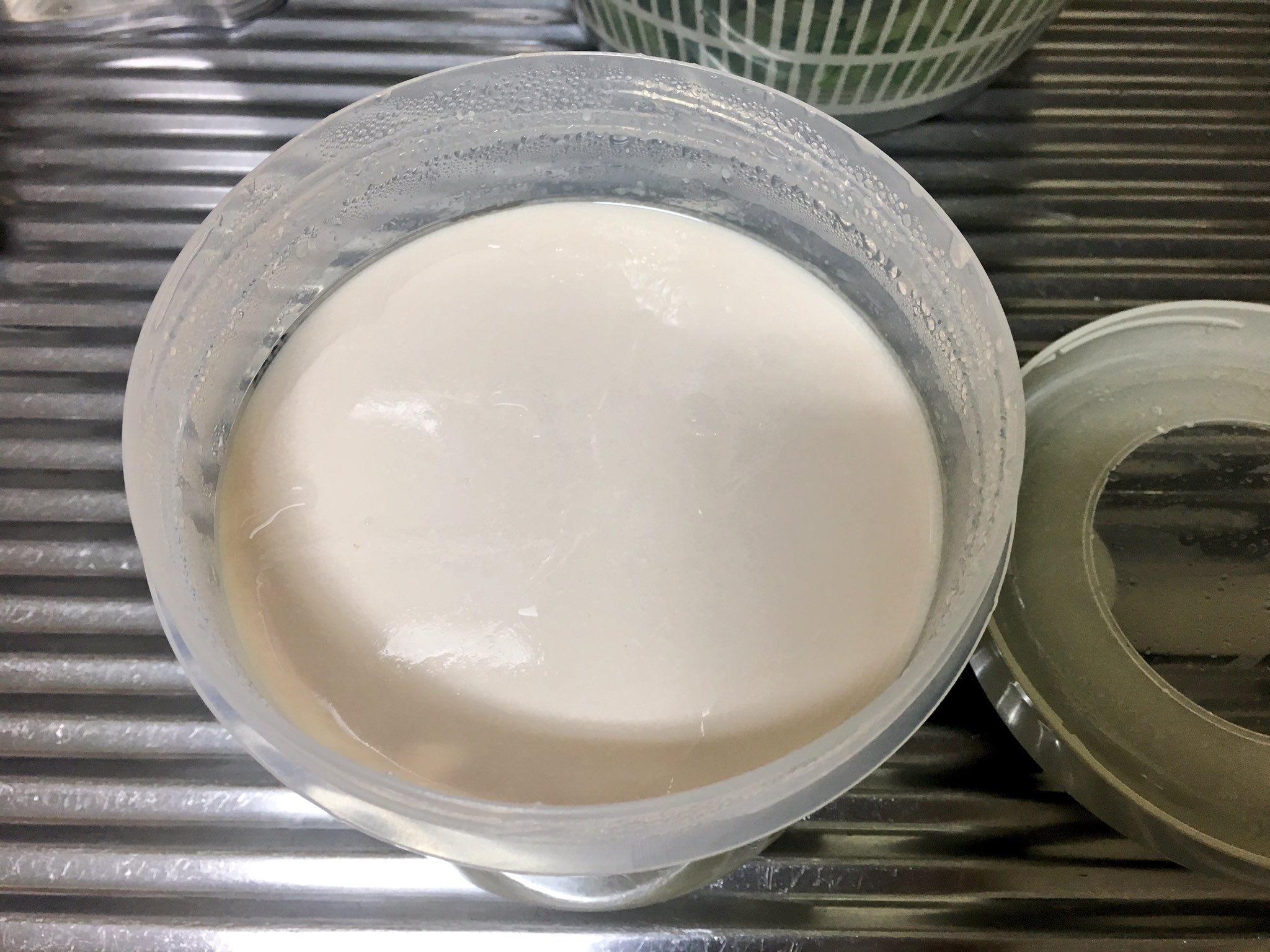 Tinylily Auf Twitter R1飲むヨーグルトで牛乳を作ったヨーグルトを元種にして 次に無調整豆乳を使って作ったら表面がうすーく ピンク色になってる 赤カビ 下の方は食べれるんかな 豆乳ヨーグルト ヨーグルティアs 手作りヨーグルト 発酵食品 Tinylily Auf Twitter R1飲むヨーグルトで牛乳を作ったヨーグルトを元種にして 次に無調整豆乳を使って作ったら表面がうすーく ピンク色になってる 赤カビ 下の方は食べれるんかな 豆乳ヨーグルト ヨーグルティアs 手作りヨーグルト 発酵食品