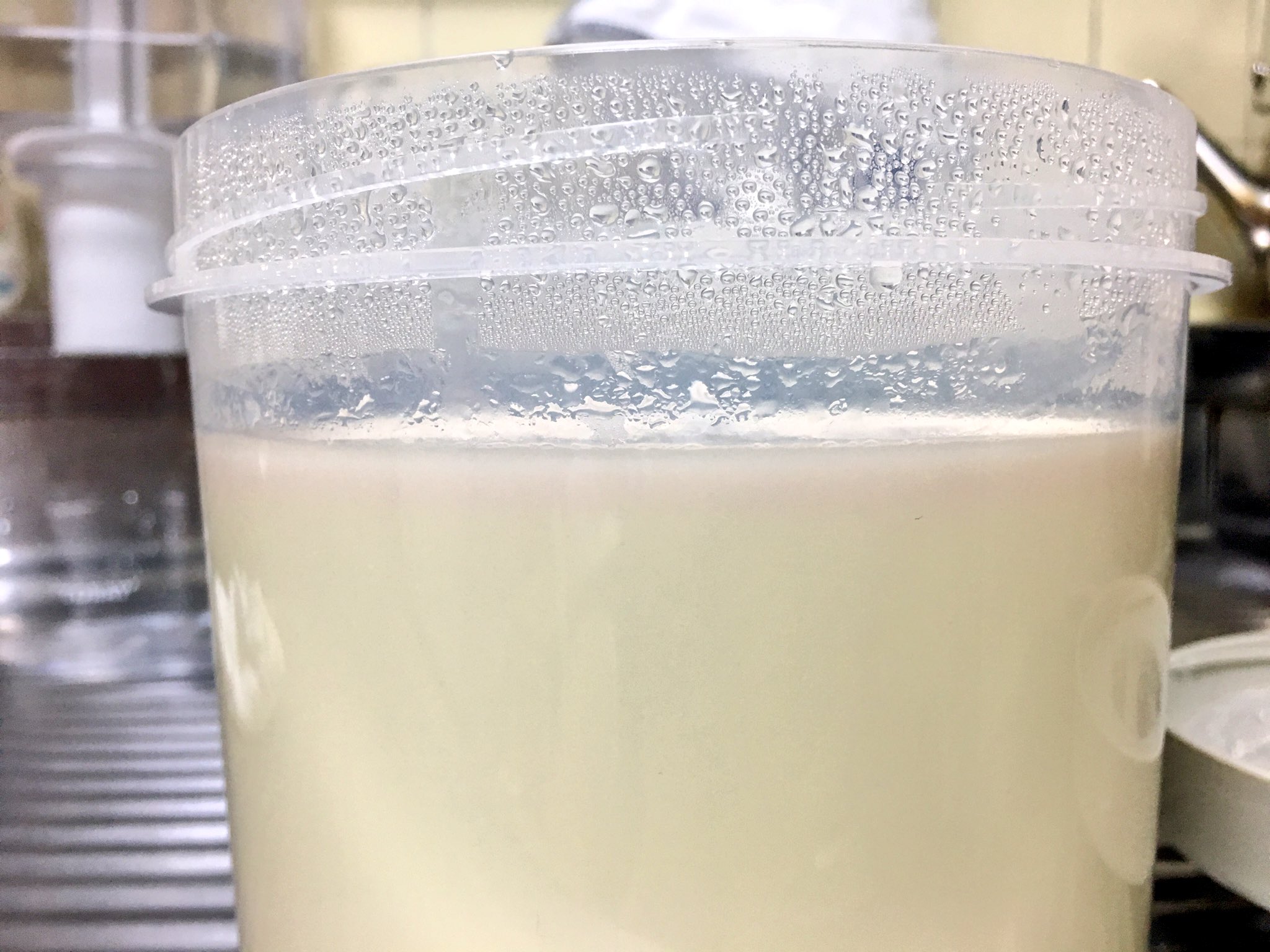 Tinylily Auf Twitter R1飲むヨーグルトで牛乳を作ったヨーグルトを元種にして 次に無調整豆乳を使って作ったら表面がうすーく ピンク色になってる 赤カビ 下の方は食べれるんかな 豆乳ヨーグルト ヨーグルティアs 手作りヨーグルト 発酵食品 Tinylily Auf Twitter R1飲むヨーグルトで牛乳を作ったヨーグルトを元種にして 次に無調整豆乳を使って作ったら表面がうすーく ピンク色になってる 赤カビ 下の方は食べれるんかな 豆乳ヨーグルト ヨーグルティアs 手作りヨーグルト 発酵食品