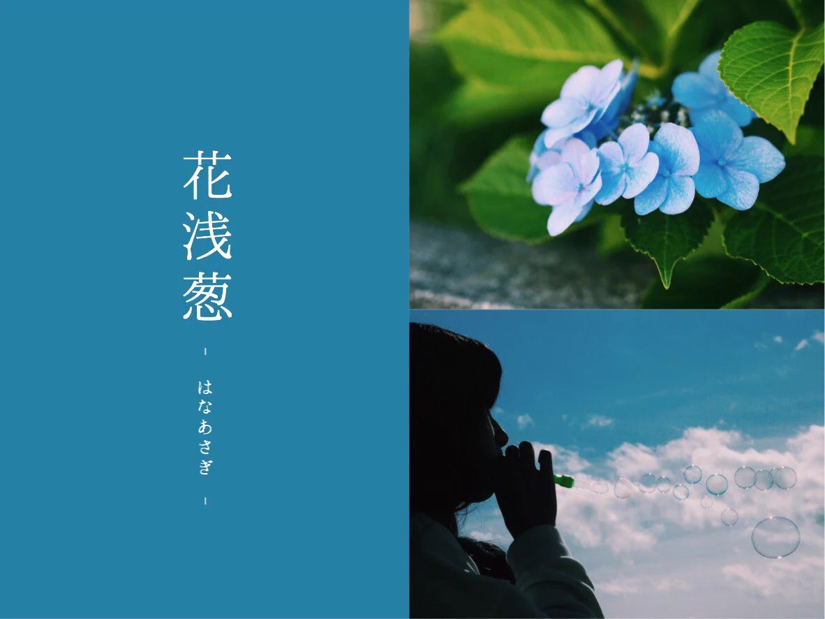 心落ち着く青色。色の奥深さを感じてみませんか。
