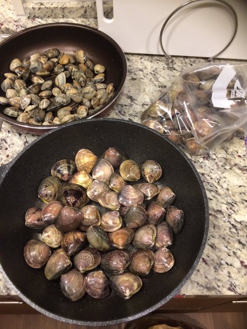 潮干狩りに金田海岸をおすすめする理由と駐車場と口コミは