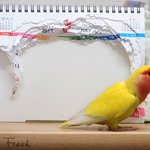 え、誰だよやったのwカレンダーを見たらもう今年が終わっていてワロタw